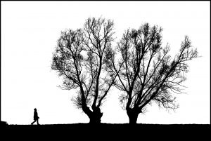 868 Fotograf  Ole Suszkiewicz  -  Lady and Two Trees  